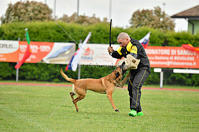 Hip-Hop des Plaines d'Octodure