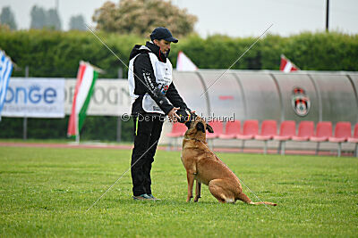 Hip-Hop des Plaines d'Octodure