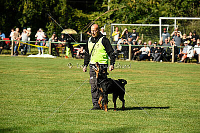 Hobbit vom Tanneneck