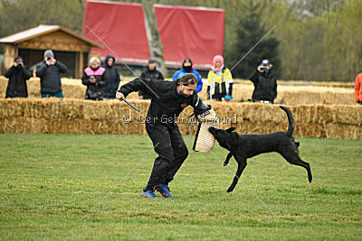 Holland Vato Loco van le Dobry