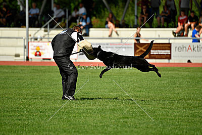 Hope vom Teufelshang