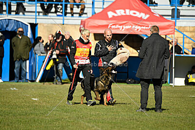 Hopper vom Brachtpetal