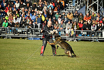 Hopper vom Brachtpetal