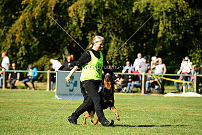 Hops von den Wichtelhäusern