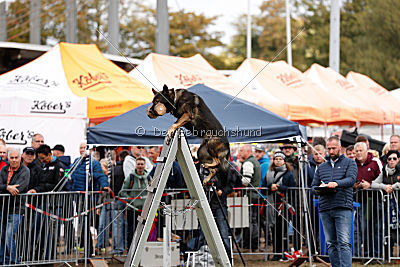 Hutch von Black Grey