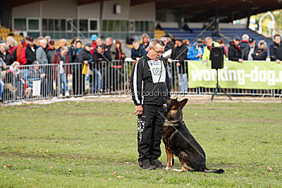 Hutch von Black Grey
