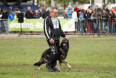 Hutch von Black Grey