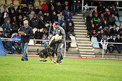 Hutch von Black Grey