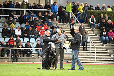 Hutch von Black Grey