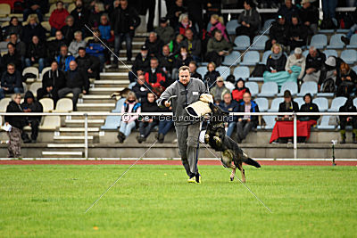 Hutch von Black Grey