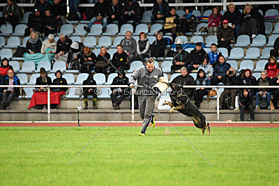 Hutch von Black Grey