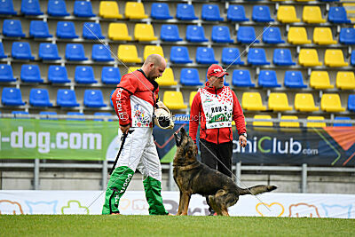 Iannys z Lomeckeho polesi