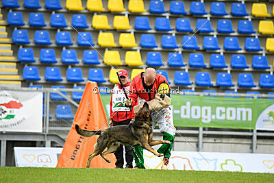 Iannys z Lomeckeho polesi