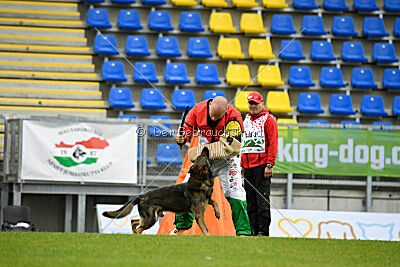 Iannys z Lomeckeho polesi