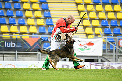 Iannys z Lomeckeho polesi