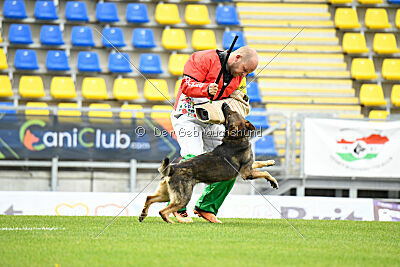 Iannys z Lomeckeho polesi