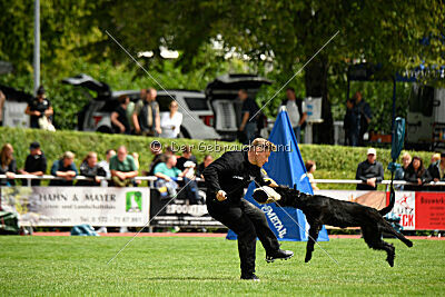 Ibiza vom Keilerberg