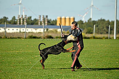 Ice-T vom Markischen Leo