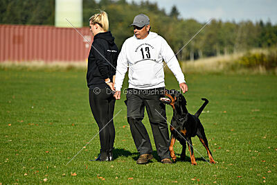 Ice-T vom Markischen Leo