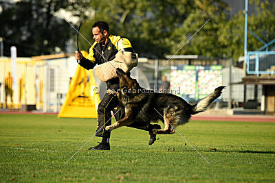Iceman von der Reichen Wiese