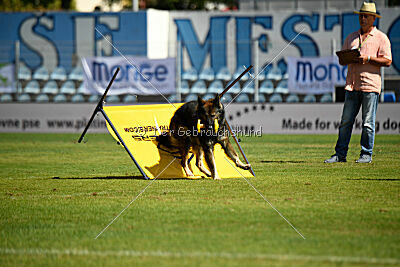 Iceman von der Reichen Wiese