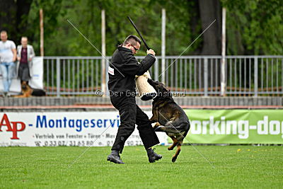 Iceman von der Schiffslache