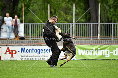 Iceman von der Schiffslache