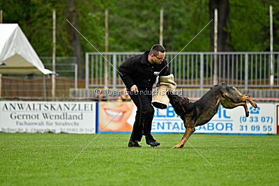Iceman von der Schiffslache
