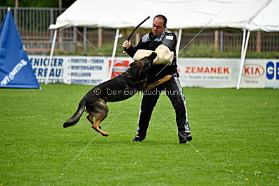 Iceman von der Schiffslache