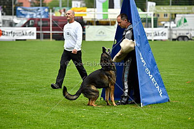 Iceman von der Schiffslache