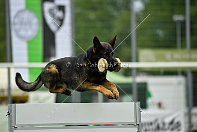 Iceman von der Schiffslache