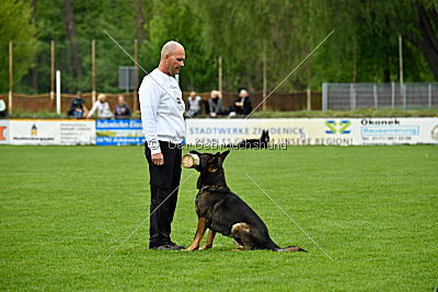 Iceman von der Schiffslache