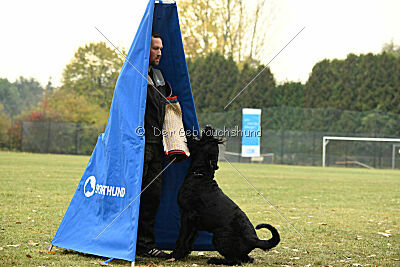 Ichigo vom Schwarzen Humor