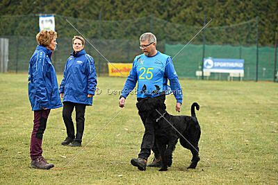 Ichigo vom Schwarzen Humor