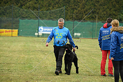 Ichigo vom Schwarzen Humor