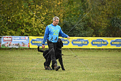 Ichigo vom Schwarzen Humor