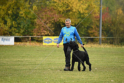 Ichigo vom Schwarzen Humor