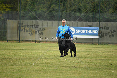 Ichigo vom Schwarzen Humor