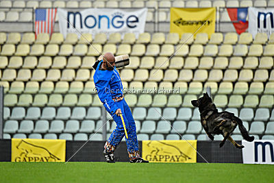 Iga Hanzo vom Haus M.1