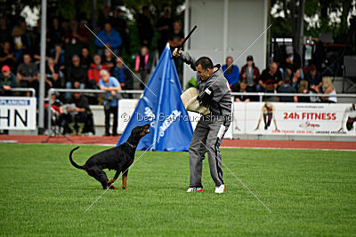 Imalah vom Hexenzauber