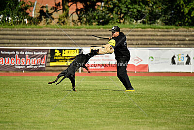 Imalah vom Hexenzauber