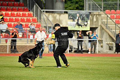 Imalla vom Haus Mink