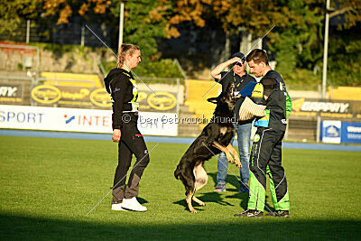 Imalla vom Haus Mink