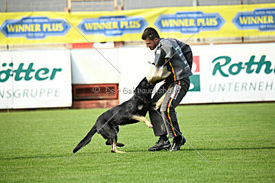 Imalla vom Haus Mink