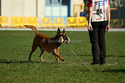 Independent Spirit's I'Ro