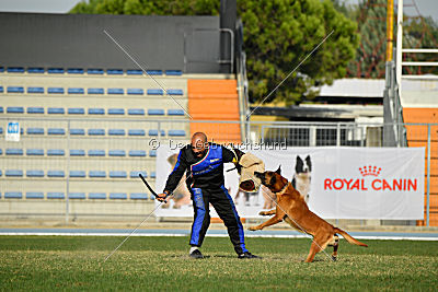 Independent Spirit's I'Ro