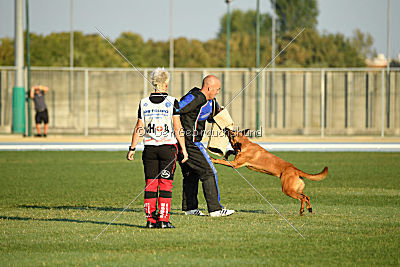 Independent Spirit's Iloy