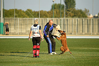 Independent Spirit's Iloy