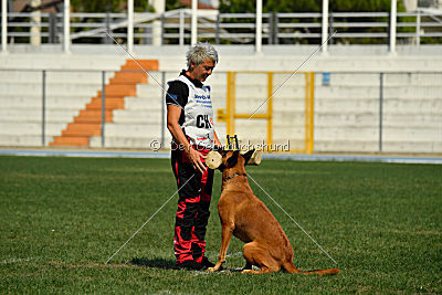 Independent Spirit's Iloy