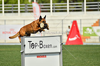 Independent Spirit's Iloy